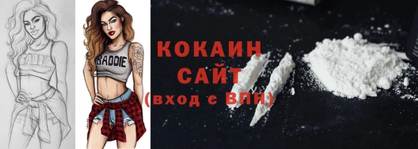 прущие грибы Белоозёрский