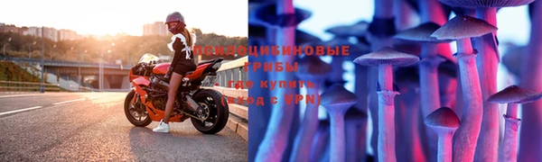 скорость mdpv Белокуриха