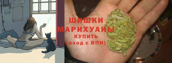прущие грибы Белоозёрский