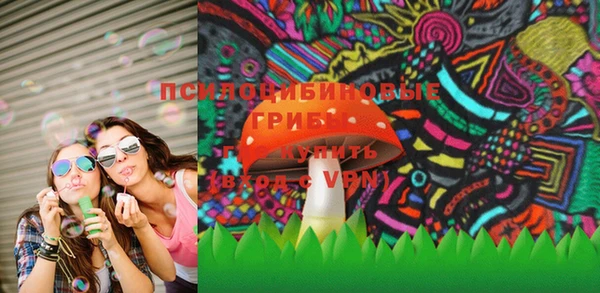 прущие грибы Белоозёрский