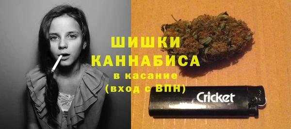 прущие грибы Белоозёрский