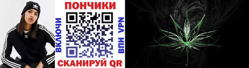 где можно купить наркотик Семикаракорск Конопля семена